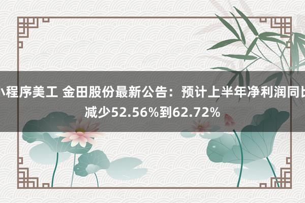 小程序美工 金田股份最新公告：预计上半年净利润同比减少52.56%到62.72%