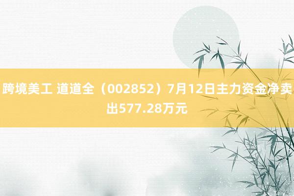 跨境美工 道道全（002852）7月12日主力资金净卖出577.28万元