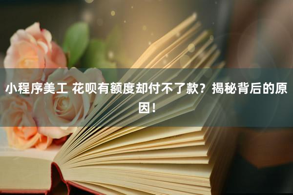 小程序美工 花呗有额度却付不了款？揭秘背后的原因！