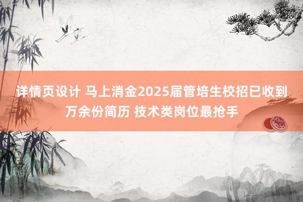 详情页设计 马上消金2025届管培生校招已收到万余份简历 技术类岗位最抢手